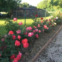 Maison d hotes les boulbenes caussade tarn garonne jardin